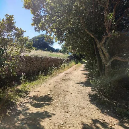 Valfrida * San Teodoro (Sardinia)