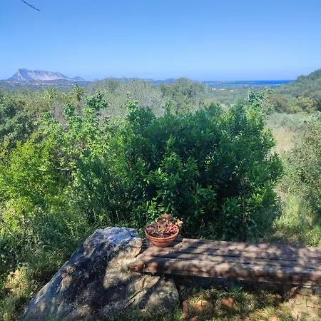 Βίλα Valfrida San Teodoro (Sardinia)