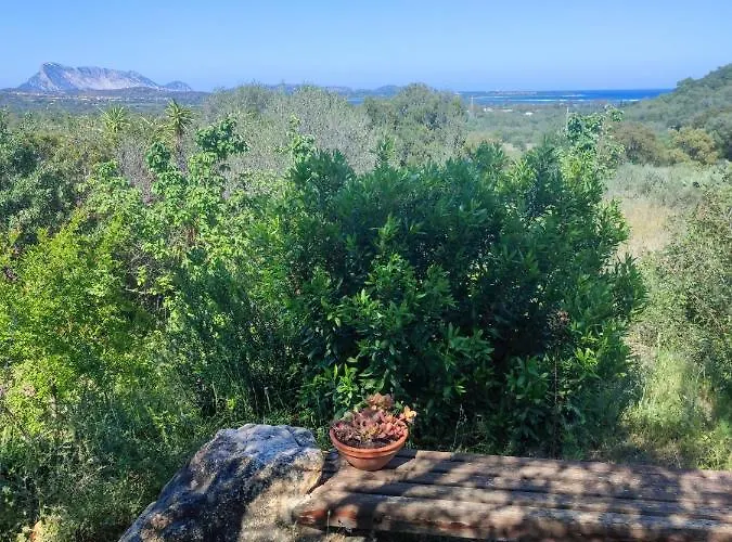 Villa Valfrida San Teodoro (Sardinia)